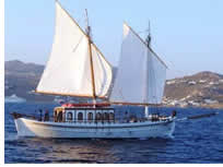 Gay Mykonos South Coast Cruise